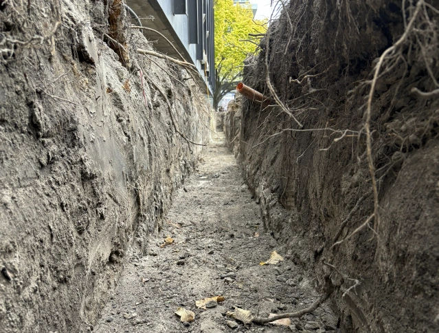 A close-up view of a narrow trench dug into the ground, with rough dirt walls lined with tree roots. A small orange pipe is embedded in the wall. A modern building and a leafy tree are visible at the end of the trench.